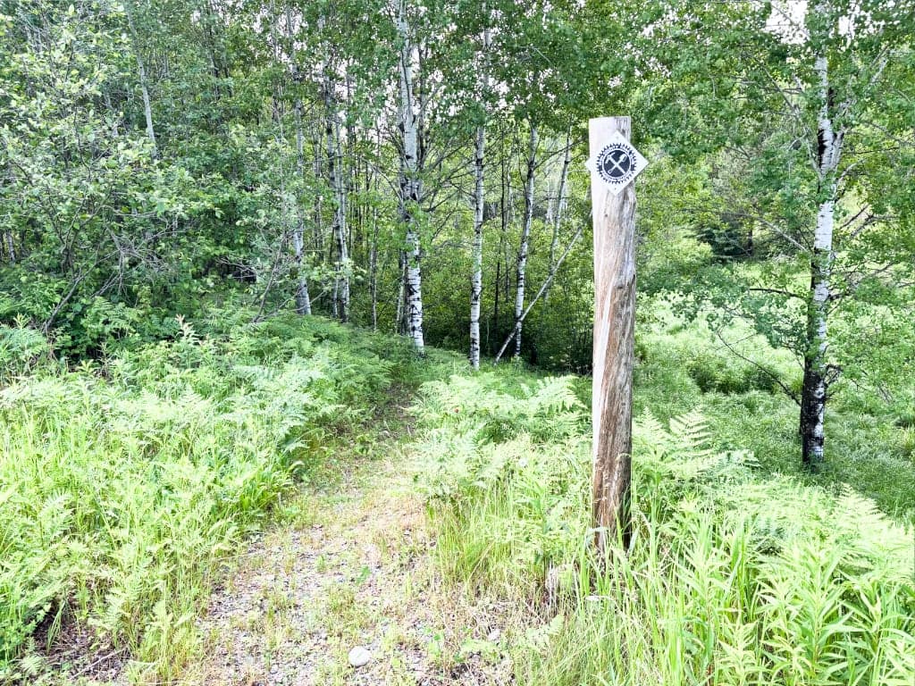 Telmarine Hill trailhead